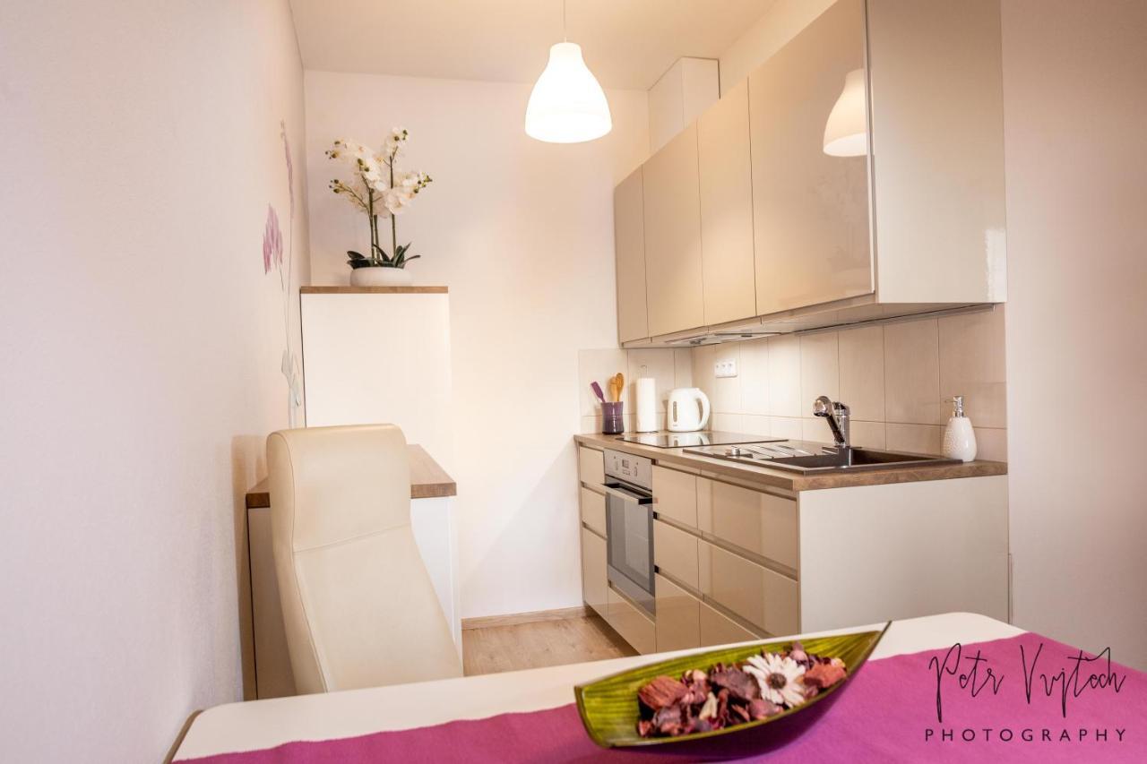 Luxurious, Lovely And Romantic Apartment In Tábor Eksteriør billede